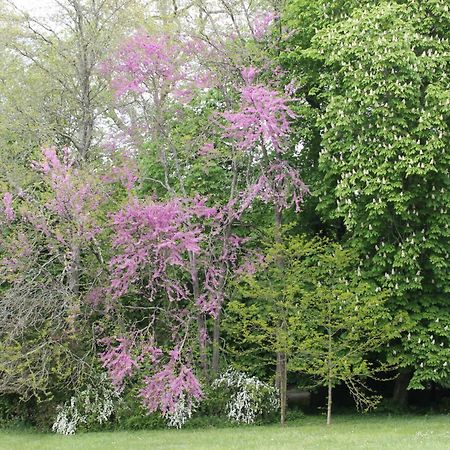 Saint-Gervais-la-Forêt Gite Le Haut Perche, 4 Personnes מראה חיצוני תמונה