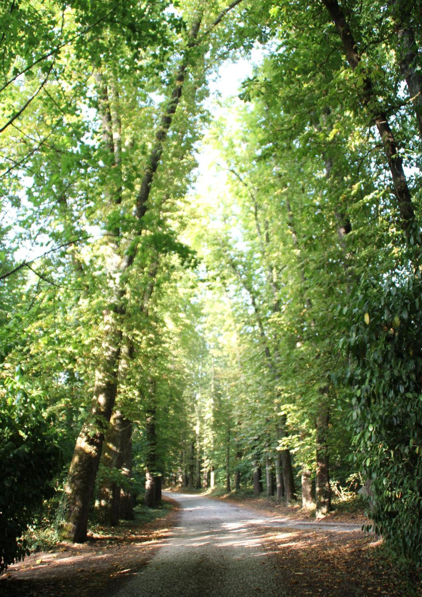 Saint-Gervais-la-Forêt Gite Le Haut Perche, 4 Personnes מראה חיצוני תמונה